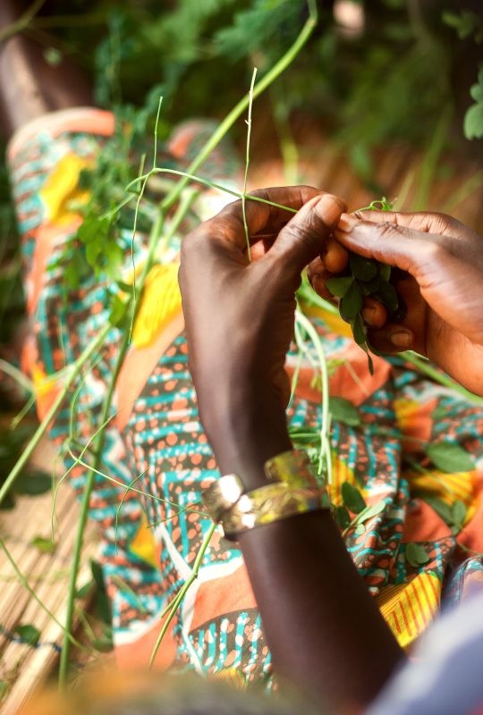 Guinea, A woman  Rural Women's Cooperative.