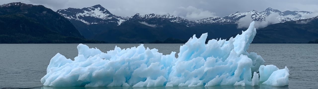 The remainings of an iceberg