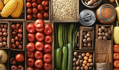 Right to Food in Europe Webinar