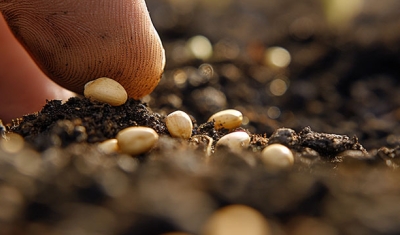 Right to Seeds Webinar