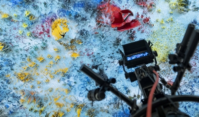 Palais de Nations Ceiling