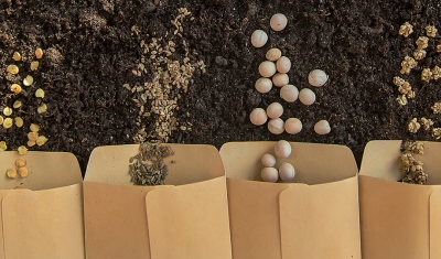 Seed Event