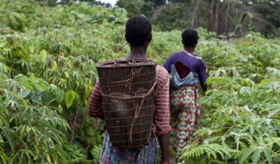 Democratic Republic of the Congo, Equateur province, Monzaya. Women from the village of Monzaya crossing cassava fields on their way to fish in ponds that have been the source of armed violence in 2009 between the villages of Enyele and Monzaya.