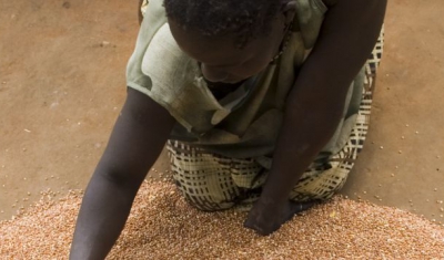 Woman drying beans on the ground