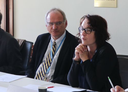 Participants in the Geneva Academy Consultation on less lethal weapons