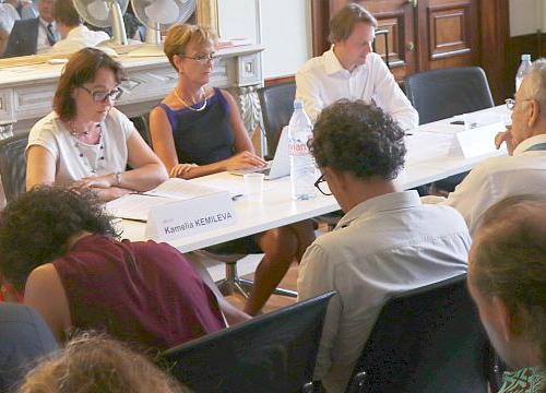 Picture of the panel with Felix Kirchmeier, Kamelia Kemileva and Sarah Cleveland