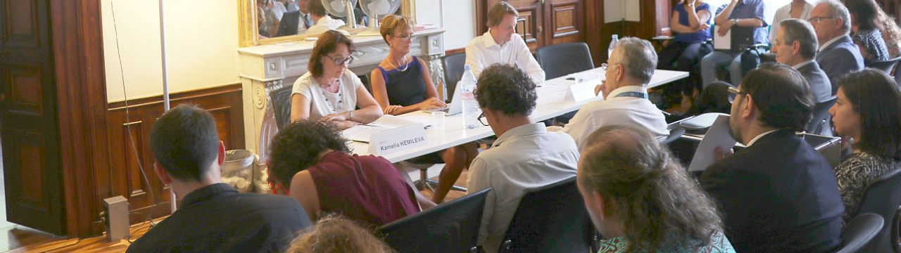 Picture of the panel with Felix Kirchmeier, Kamelia Kemileva and Sarah Cleveland