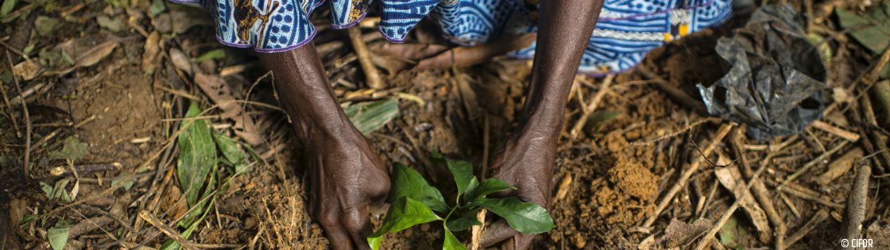 Rural Women Right to Food and Land in Work of UN HUman Rights Mechanisms