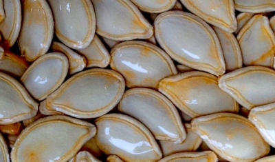 Pumpkin seeds