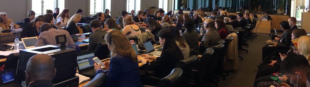 Academics Training on Geneva based UN Human Rights Mechanisms at the Committee against Torture