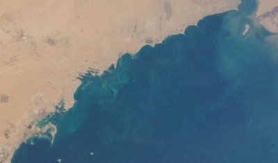 Aerial View of the Persian Gulf