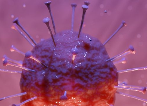 Image of the coronavirus