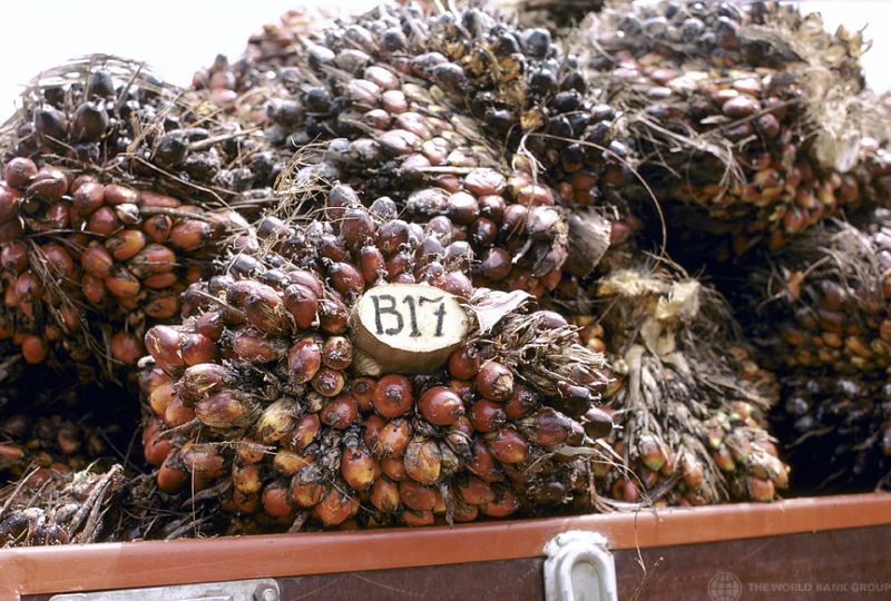 Food in cargo bins. Ghana.