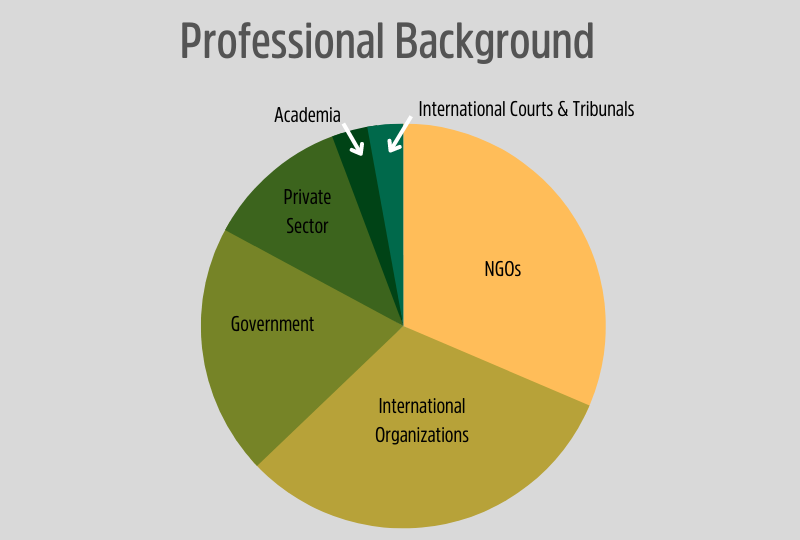 Graph showing theprofessional backgrounds of students enrolled in the Executive Master