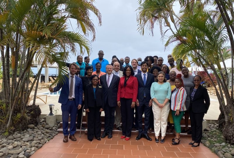 Participants in the Grenada pilot focused review