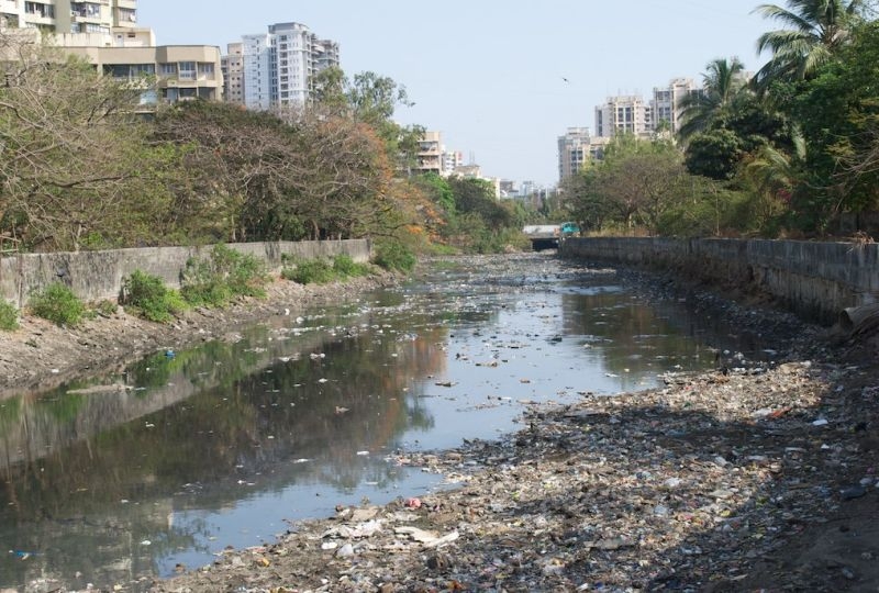 Polluted Malad Creek at Lokhandwala,Mumbai