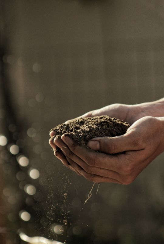 Hands holding earth