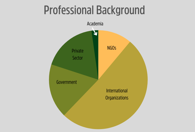 Graph on participants' professional background