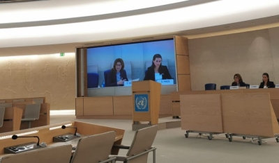 Dr Erica Harper at the UN Human Rights Council Advisory Committee