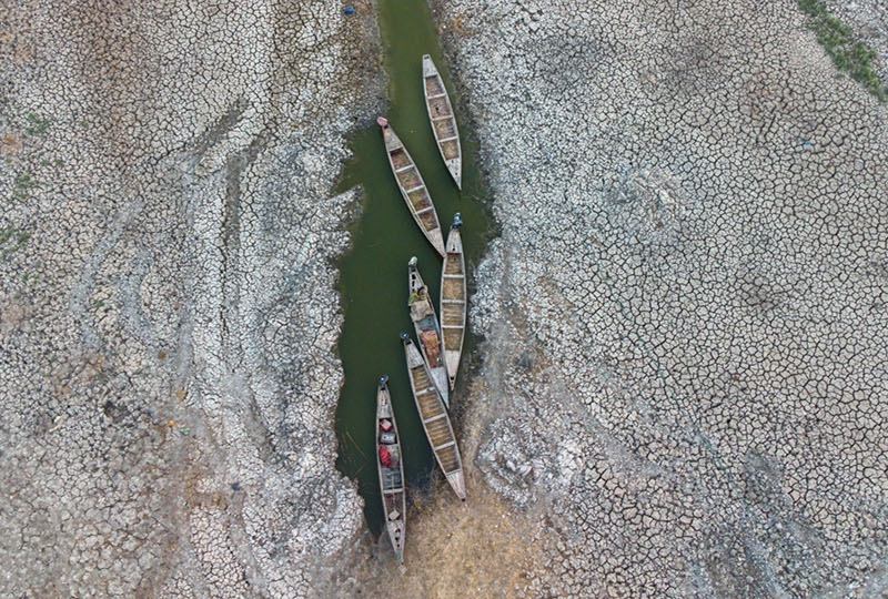 dry marshland