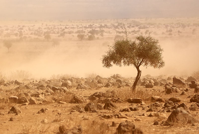 drought in Kenya