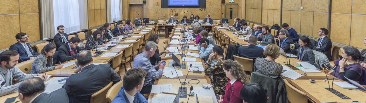 Participants in the expert seminar on the right to land and other natural resources, Palais des Nations, 17 November 2016