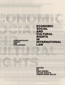Cover of the book Economic, Social, and Cultural Rights in International Law. Contemporary Issues and Challenges