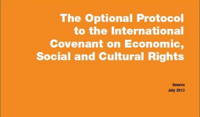 Cover of the In-Brief No2: The Optional Protocol to the International Covenant on Econimic, Social and Cultural Rights 