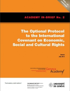 Cover of the In-Brief No2: The Optional Protocol to the International Covenant on Econimic, Social and Cultural Rights 