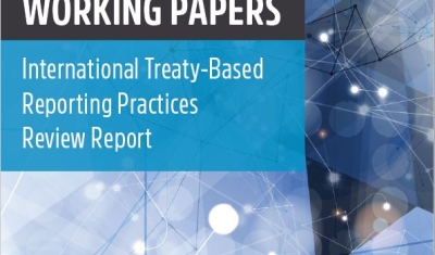 Cover Page of Reporting Practices Working Paper
