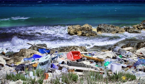 Plastic pollution on an Italian shore 